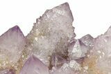 Spectacular Cactus Amethyst Crystal Cluster - South Africa #301883-2